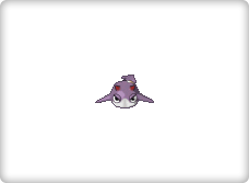 Buma