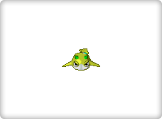 WildBuma