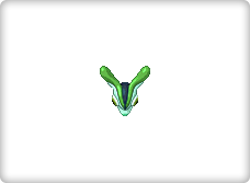 AquaPing