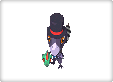 Persona