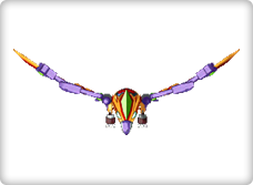 Eagle Wings